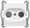 Gunsan VISAGE + MODERNA Modul Sat TV End-Dose Weiss