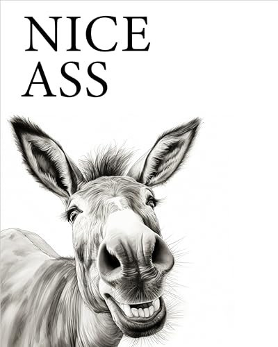 Deqosy Esel Nice A**, Poster 40cm x 50cm ohne Rahmen, Toilette Badezimmer Deko, Wand-Deko Bilder Lustiges Geschenk