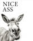 Esel Nice A**, Poster 40cm x 50cm ohne Rahmen, Toilette Badezimmer Deko, Wand-Deko Bilder Lustiges Geschenk