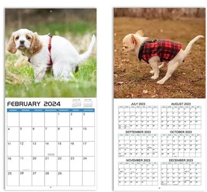 2024 Wandkalender, 12 Monate Kackende Hunde Schöne Orte Natur-Kalender Perfekt for Zuhause, Schule, Büro, 2 Stücke