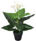 Homgoday Planta Cala Lilly Artificial con macetero 45 cm Blanca Plantas Artificiales Decorativas Planta Artificial Realista Ideal para Decoración