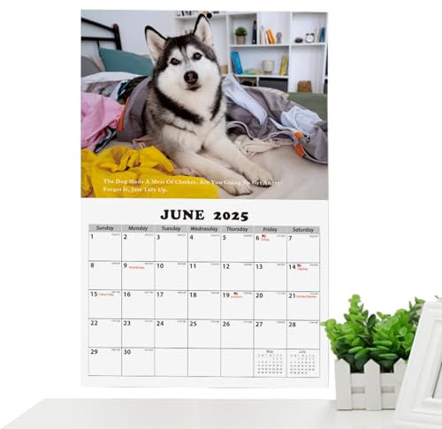 Lustiger Kalender 2025 – Kalender 2025 mit Planer, Husky-Themen-Wandplaner | Farbenfroher Jahreskalender 2025, Jahresplaner für die, Am