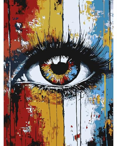 QENSPE Pintar por Numeros Adultos, DIY Pintura por Números, Kit de Pintura al óleo de Lienzo para con Pinceles, Paint by Numbers Kit 40 x 30cm, Ojos Abstracto