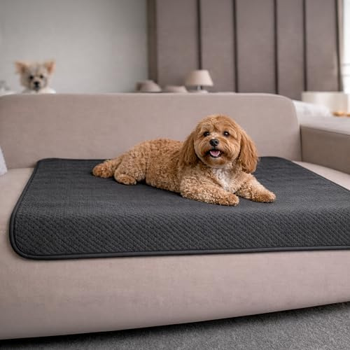 Dreamzie Hundedecke Wasserdicht Bett, Auto, Outdoor 80x100cm - Reversible und Maschinenwaschbar Hundedecke Sofa aus Sherpa Fleece - Dunkelgrau