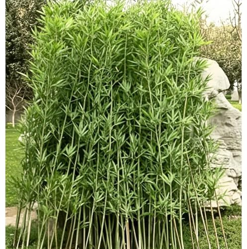 Artificial Outdoor Bamboo Tree UV Resistant 3ft 4ft 5ft 6ft 7ft 8ft Tall, Garden Privacy Screen Bamboo Silk Trees with Leaves, Fake Plant Plastic Tree for Indoor Home Decor(10 Pack,1.2m/3.9ft Tall)