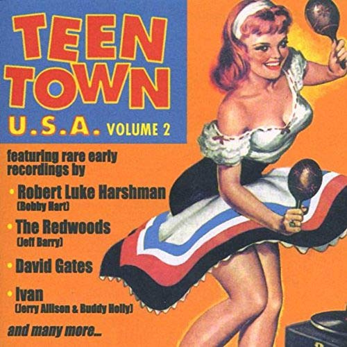 Teen Town Usa 2 / Various