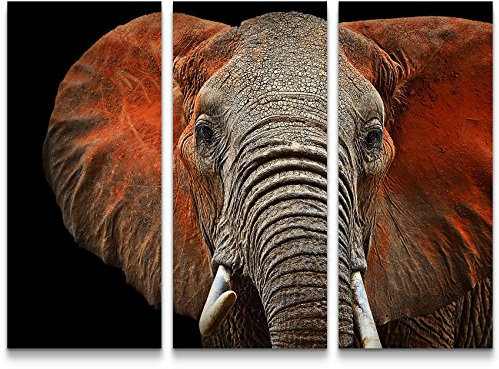 Paul Sinus Art Leinwandbilder | Bilder Leinwand 130x90cm afrikanischer Elefant im Tsavo Park – Kenia