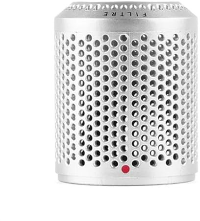 Filtro Hepa for Dyson HD03/HD01/HD02/04 Accessori for asciugacapelli For Airwrap Coperchio del filtro antipolvere Condotto dell'aria Parti di copertura della rete a prova di polvere ( Color : Silver )