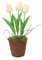 Poranlem Künstliche Tulpen, künstliche Tulpen im Topf für Dekoration, Seide, fühlen sich echt an, 30,5 cm, primitive Tulpen, Kunstpflanze, Moos mit Vase, Frühling, Ostern, Heimdekoration, ästhetisch