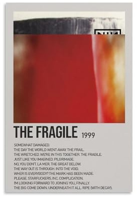 YRAEYWAER Nine Inch Nails The Fragile Posters Aesthetic Decor Living Modern Family Bedroom Bedroom Living Room Wall Art Decoration Poster 12x18inch(30x45cm) Unframe-style