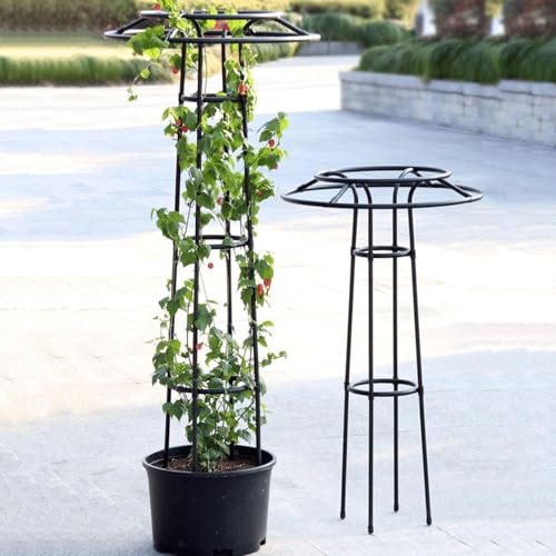 Rose Rankhilfe Für Kletterpflanzen Outdoor Rankturm Obelisk Metall Stabiler Rankgitter Blauregen Clematis Spalier 105cm 145cm 185cm 225cm(High185cm)