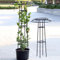 Rose Rankhilfe Für Kletterpflanzen Outdoor Rankturm Obelisk Metall Stabiler Rankgitter Blauregen Clematis Spalier 105cm 145cm 185cm 225cm(High185cm)