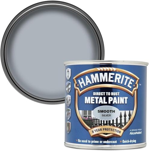 Direct to Rust Metal Paint Smooth Finish – Silver, 250ml (Pack of 1) | Anti-Rust Protection | Quick-Drying, Long-Lasting Metal Paint for Indoor & Outdoor Use