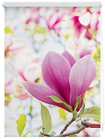 Lichtblick Klemmfix Tageslicht-Rollo mit Motiv, ohne Bohren, Blickdicht, Seitenzugrollo, Made in Germany, Magnolie - Rosa 45 x 150 cm (B x L)