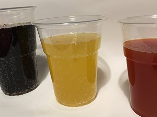 Artist Unknown Ol-Gastro-Bedarf 1000 Trinkbecher PP Ausschankbecher Plastikbecher transparent 0,3Liter300ml Becher mit Schaumrand