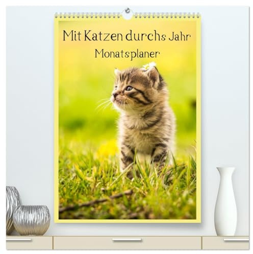 Mit Katzen durchs Jahr/Planer (hochwertiger Premium Wandkalender 2026 DIN A2 hoch), Kunstdruck in Hochglanz: Ein Terminplaner mit tollen Katzenmotiven (CALVENDO Tiere)