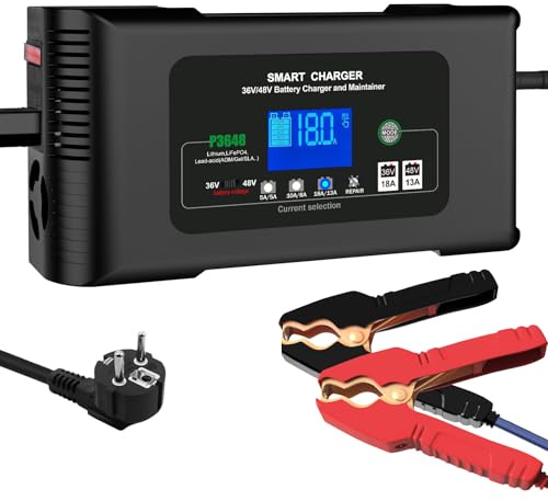 Haisito Caricabatterie automatico P3648 36V18A/48V13A Turbulène Caricabatterie intelligente per batterie al litio LiFePO4, batterie al piombo-acido (AGM Gel MF, ecc.), camper, moto