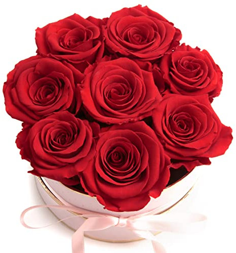 Rosenbox rosa rund Infinity Rosen - Flowerbox 8 echte Rosen haltbar 3 Jahre Durchmesser 15 cm - Geschenk für Frauen (Medium, Rosa-Rot)