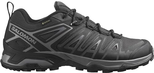 Salomon Herren X Ultra Pioneer Gore-tex Hiking Shoe, Phantom Black Quiet Shade, 42 2/3 EU