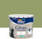 Dulux Valentine Crème de Couleur - Peinture multi-supports intérieure - Satin Aiguilles de Pin 10 L