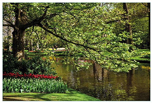 Wallario Küchenrückwand selbstklebend 90 x 60 cm, Motiv: Bunte Blumen im Park am Wasser - Frühblüher am Ufer | Spritzschutz abwischbar & pflegeleicht