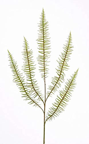 artplants.de Künstlicher Boston Farn Zweig Bent, grün, 70cm - Künstliche Blätter - Deko Zweig