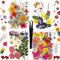 Huimai 101 Stück Gepresste Blumen für Harzformen Deko Zubehör,Natürliche Trockenpress Blumen,DIY Kerzen,Seife,Anhänger,Lesezeichen und Kartenherstellung (101)