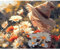 Daisy Flower Girl Jigsaw Puzzles for Adults 200, Challenging puzzles, puzzle Educational Games, Jigsaw Puzzle 200 Pieces for Adults, Family Games for Kids and adults 13.8 x 9.8 inch