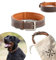 Jack & Russell Hundehalsband Leder Amy - Lederhalsband aus Echtleder - gepolstert & robust - Hunde Halsband doppellagig, kleine, mittelgrosse und große Hunde (S, Braun)