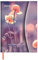 Flowers 2024 - Diary - Buchkalender - Taschenkalender - 16x22: Magneto Diary