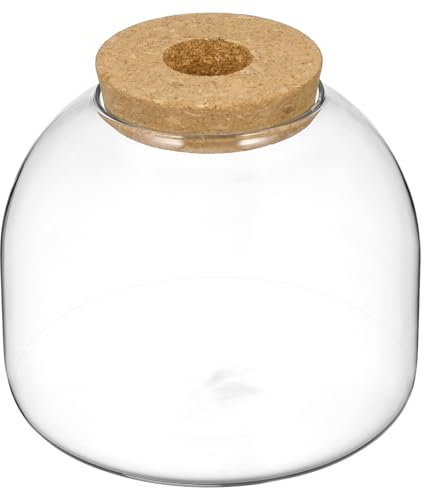 Mikrolandschafts Terrarium aus Glas und Holz mit Korkdeckel