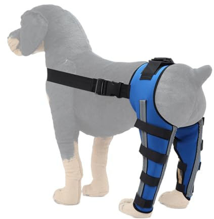 Zestivra Hunde Hinterbeinpraces, Hunde -Rücken -Klammer, Hundeort Pet Orthopaedic Joint Support Brace - Beinstützungshalterung, Pet Knie Wundschutz für Verhinderung von Verletzungen und Verstauchungen