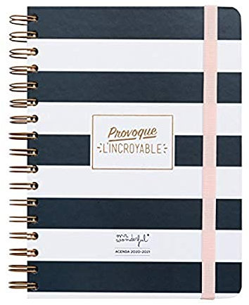 Mr. Wonderful, klassisches Tagebuch, täglich (von September 2020 bis August 2021) - Verursacht das Unglaubliche