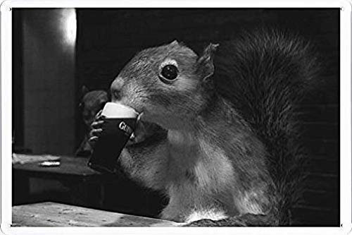 NINGFEI Blechschild, 20,3 x 30,5 cm von Guinness Black Beer Squirrel Like To Drink Schild für Fitnessstudio Wein Keller Mann Cave Decor Metallschilder Einzigartiges dekoratives Schild