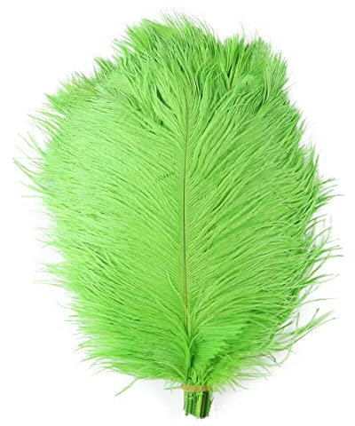 10pcs Natural plumas de avestruz, MoreChioce 10–12 Pulgadas (25–30 cm) Ostrich Pluma suaves plumas de avestruz para los centros de mesa de la boda decoración del hogar, Verde