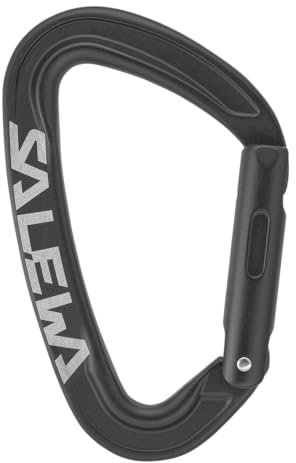 Salewa Ortles Karabiner Straight