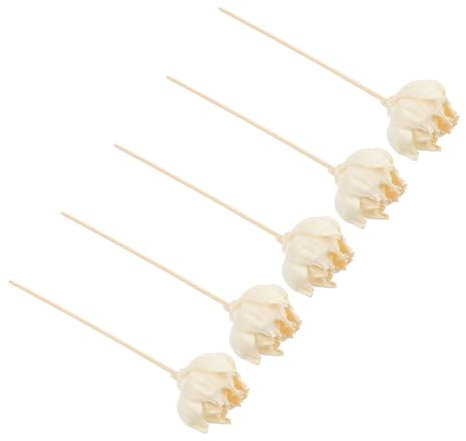 Warmhm 10stücke Teiliges Diffuser Mit Getrockneten Blumen Duftöl-Sticks Für Wohnräume Büro Und Badezimmer Für -parfüm Und Aromatherapie Beige Farbton