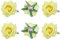 sourcing map 6 Pcs Rose Flower Hair Clips 3 Inch Flower Hair Pins Flower Brooch for Women Hair Accessories Yellow