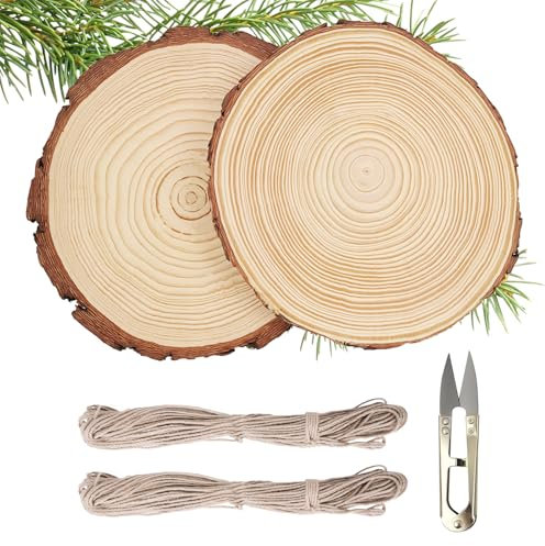 FINEASY Holzscheiben 2 Stücke Baumscheiben 18-20 cm Holz Log Scheiben Ca.15mm Dicke Runde Naturholz Baumscheiben mit zwei Hanfseil 10m, Holzscheiben für DIY, Basteln, Festliche Dekorationen