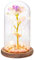 GloBrite Gold Foil Galaxy Enchanted Rose with 20 LED Strip Light | Eternal Rose in a Glass Dome Valentines Gifts for Her | Cute Room Decor for Birthday Gifts, for Her, Mum Gifts