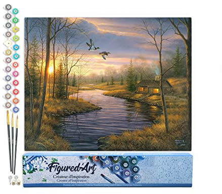 Figured'Art Peinture par Numéro Adulte Maison de campagne au crepuscule - Activité Manuelle Kit de Loisir Créatif DIY Numéro d'Art Complet - 40x50cm sans châssis en bois