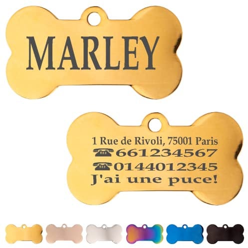 Iberiagifts - Plaque d'identification en forme d’os en Acier Personnalisé gravée Pour animaux de compagnie moyens à grands. (D'or), 40 X 21 mm