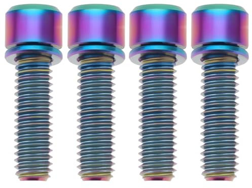 EMSea 4 Stück Fahrrad-Schrauben aus Titan, M6 x 20 mm, für MTB, Rennrad und Mountainbike, Scheibenbremsschraube, 26,3 x 8,7 mm