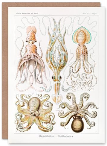 Artery8 Ernst Haeckel Art Card Squid and Octopus Vintage Illustrations