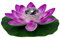 SOLUSTRE LED Solarbetriebene Wasserlaterne Schwimmlaterne Lotus Laterne Künstliche Seerose Lotusblüte Lotusblatt Deko für Pool Teich Garten Hochzeit Party Dekoration 28cm Lila