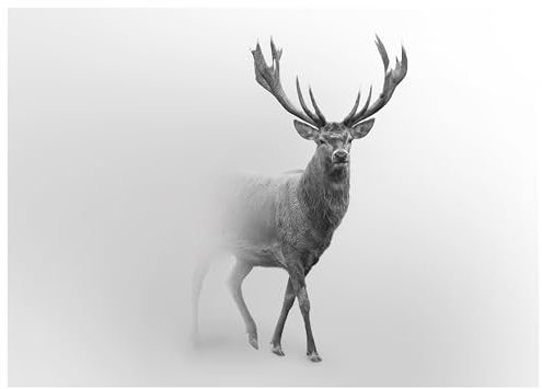 WTD - Carta da parati fotografica con cervi animali, colore grigio, 200 x 140 cm, con colla, per soggiorno, camera da letto, corridoio, carta da parati in tessuto non tessuto, resistente ai raggi UV