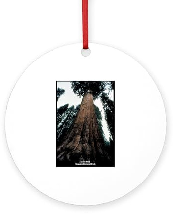 CafePress Sequoia National Park Tree 4 Round MDF Wood Ornament