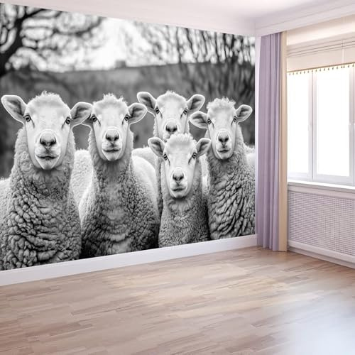Vlies-Fototapete 200 x 140 cm, Tier Schafe Bildtapete für Arbeitszimmer und Akzentwand, Schwarz Weiß