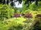1500 piece Jigsaw puzzles for adults jigsaw puzzles for adults -Canada,butchart,gardens,trees 87x57cm