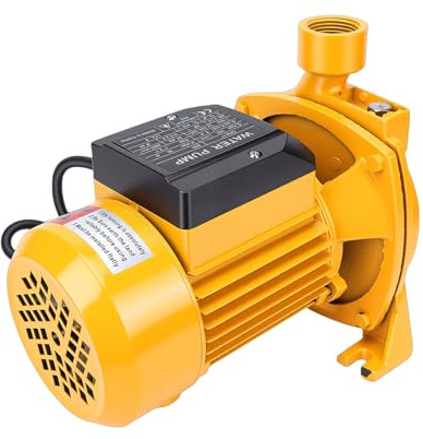 Fockety Pompa Centrifuga Autoadescante, Pompa Acqua di Circolazione in Ghisa 1 H P 750 W, Prevalenza 30 M, 200 L/min, Trasferimento Elettrico Dell'acqua per Irrigatore del Prato (Spina europea 220 V)
